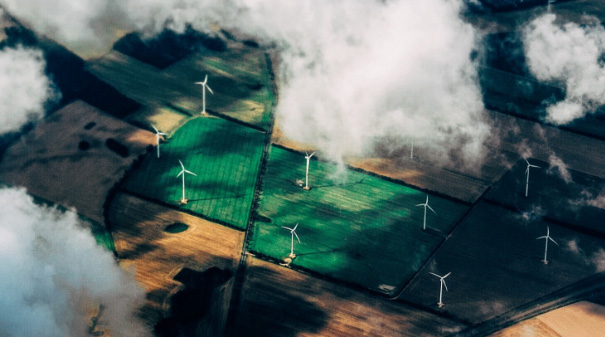 Explore renewable energy laws around the world